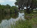 Guy Fanguy - Artist - Photographer - Guy Fanguy - Towns - Louisiana - Theriot (7).jpg Size: 83268 - 12